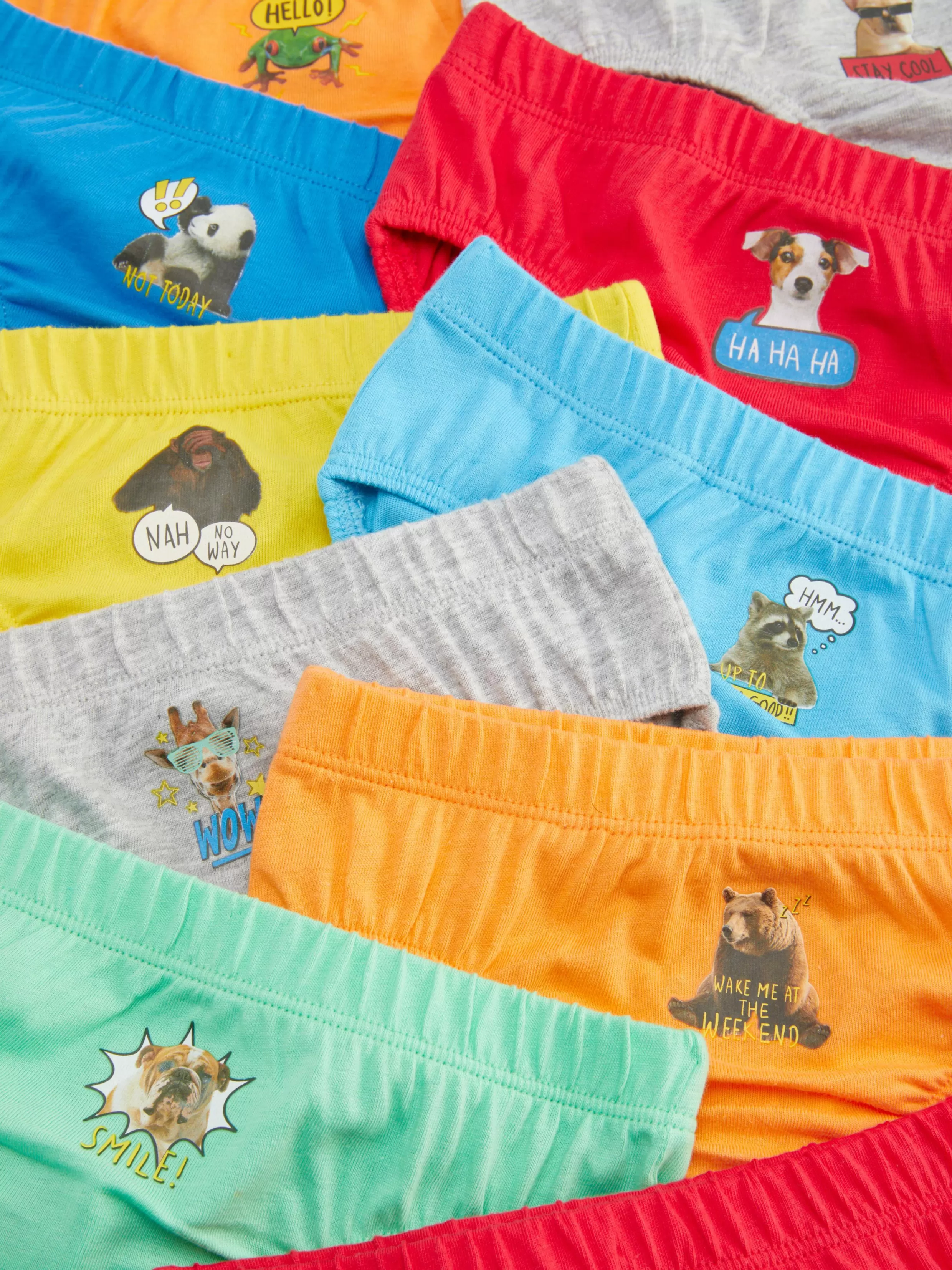 Best Sale 10-Pack Animal Graphic Briefs Kids/BOY Underwear