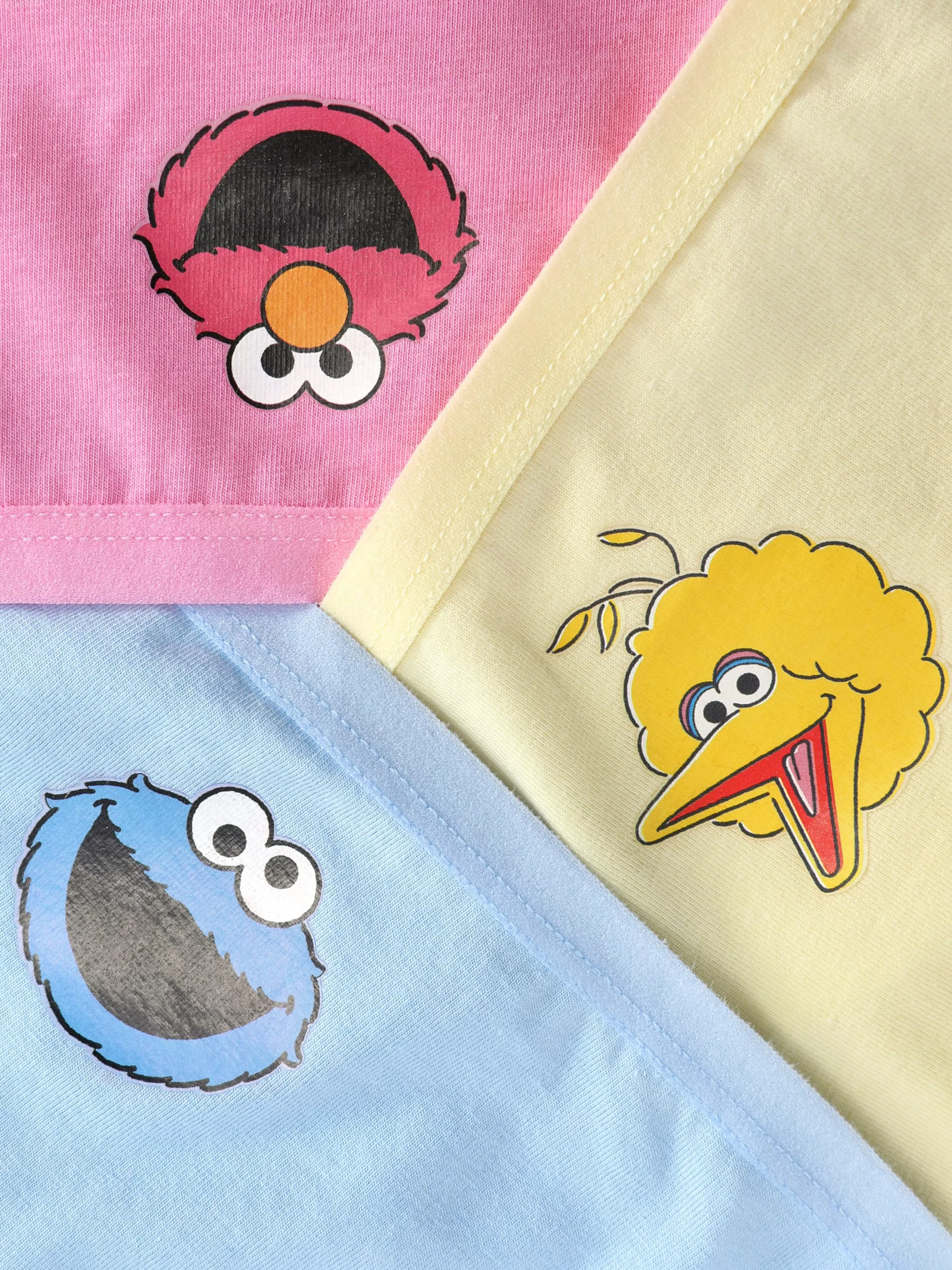 New 3-Pack Sesame Street Character Briefs Women Underwear