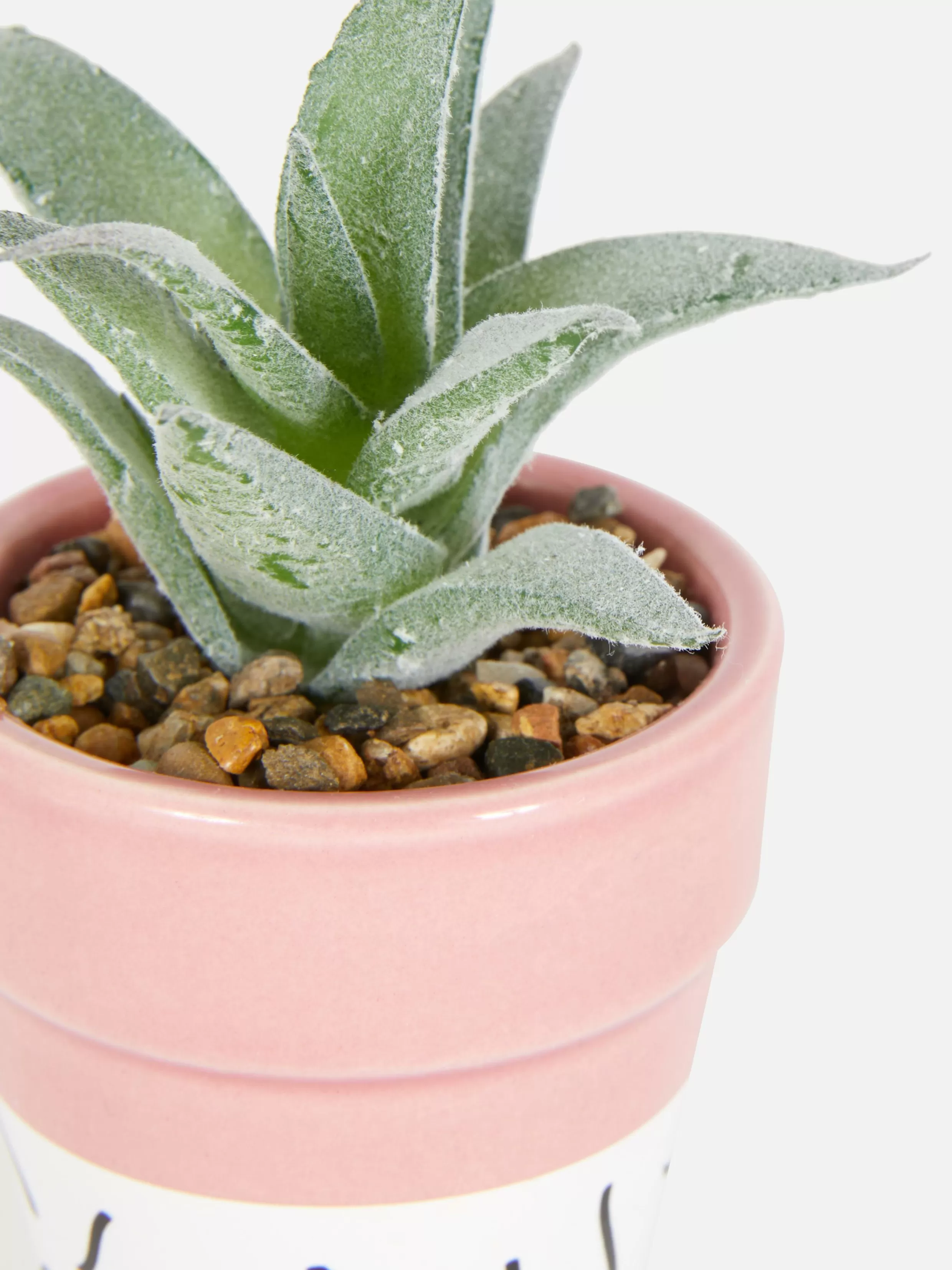 Discount Faux Succulent In Colorful Pot Faux Plants And Flowers