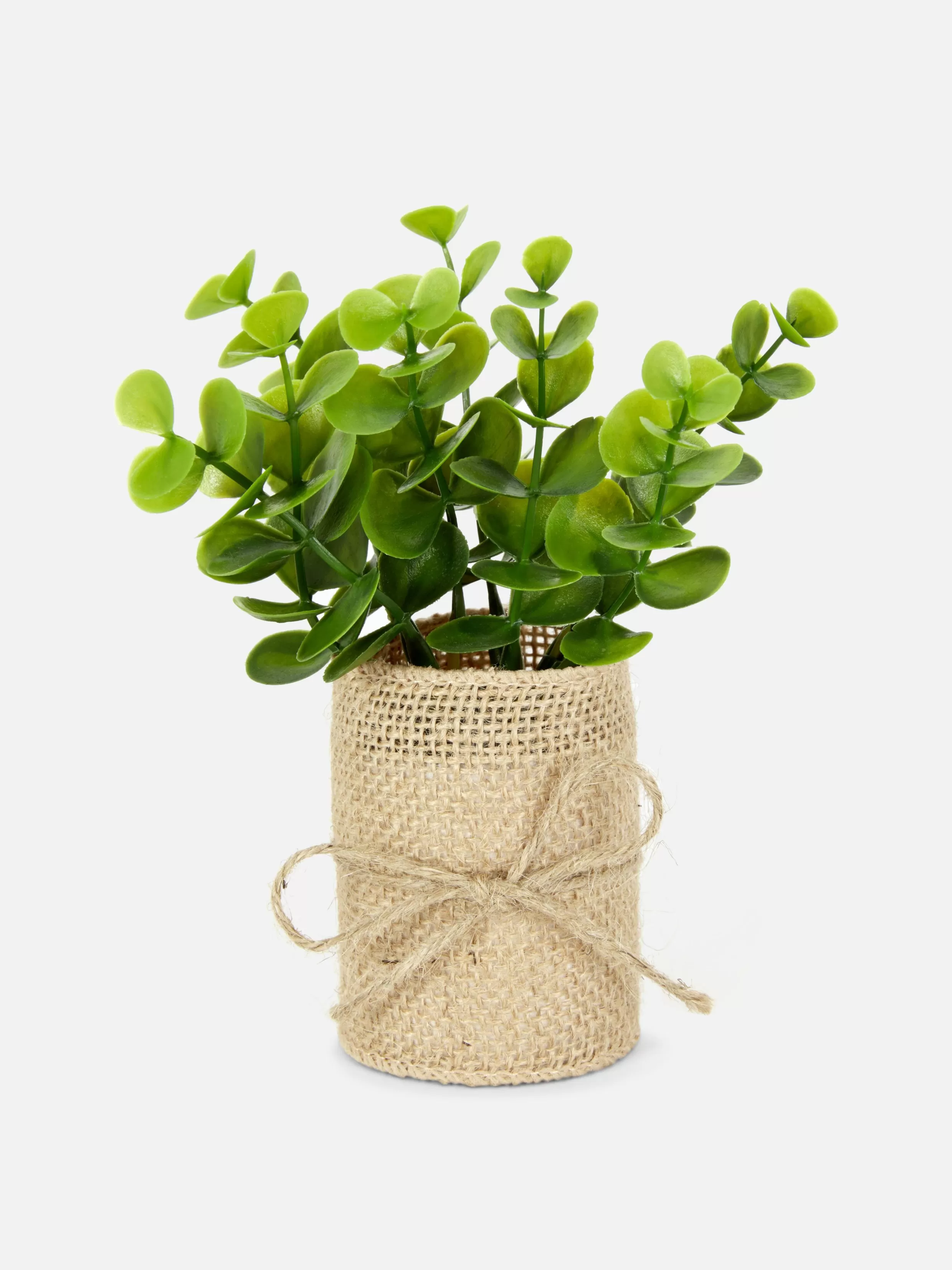 Clearance Faux Succulent In Jute Pot Faux Plants And Flowers