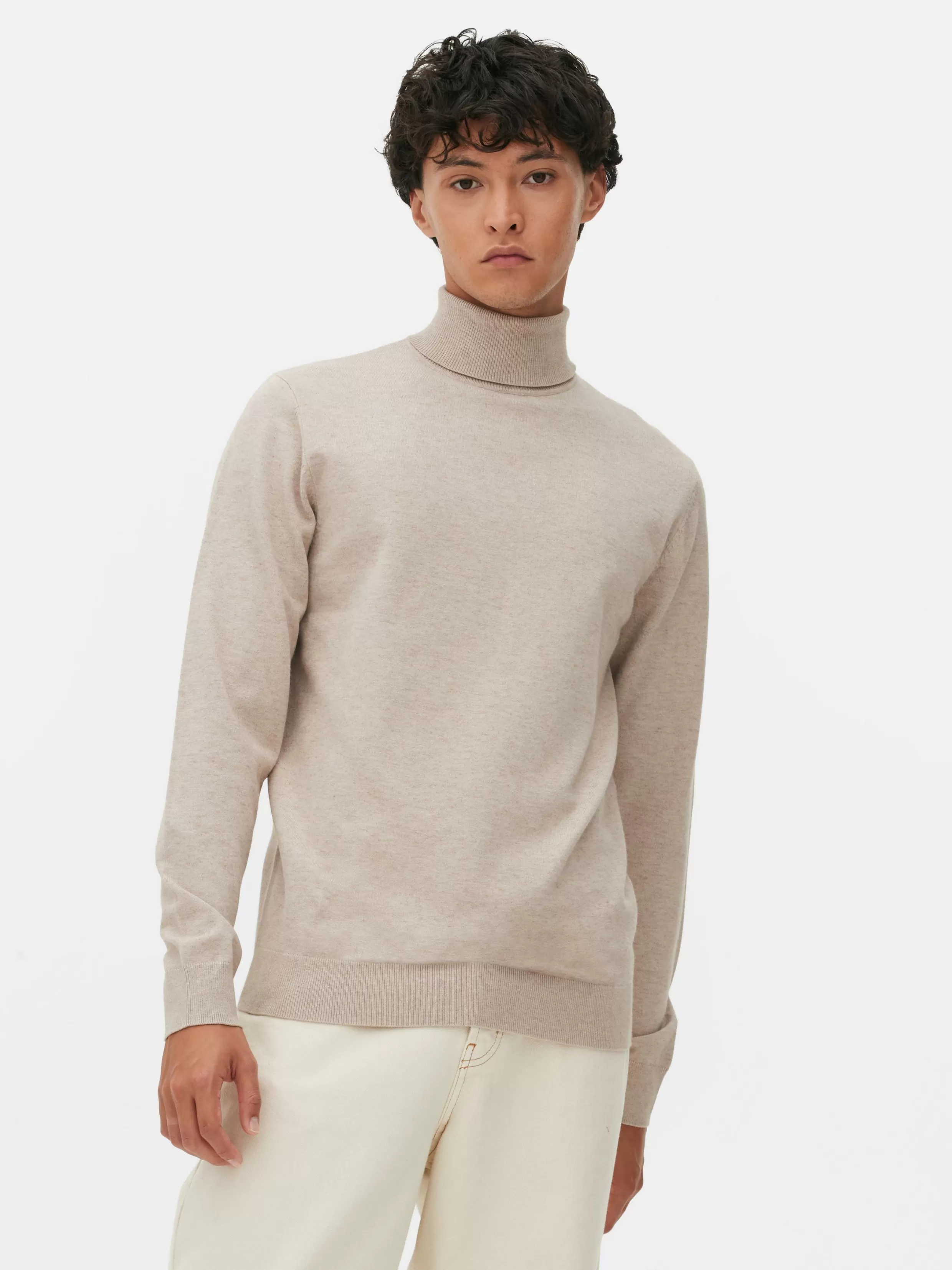 Cheap Fine Knit Roll Neck Sweater Sweaters And Cardigans