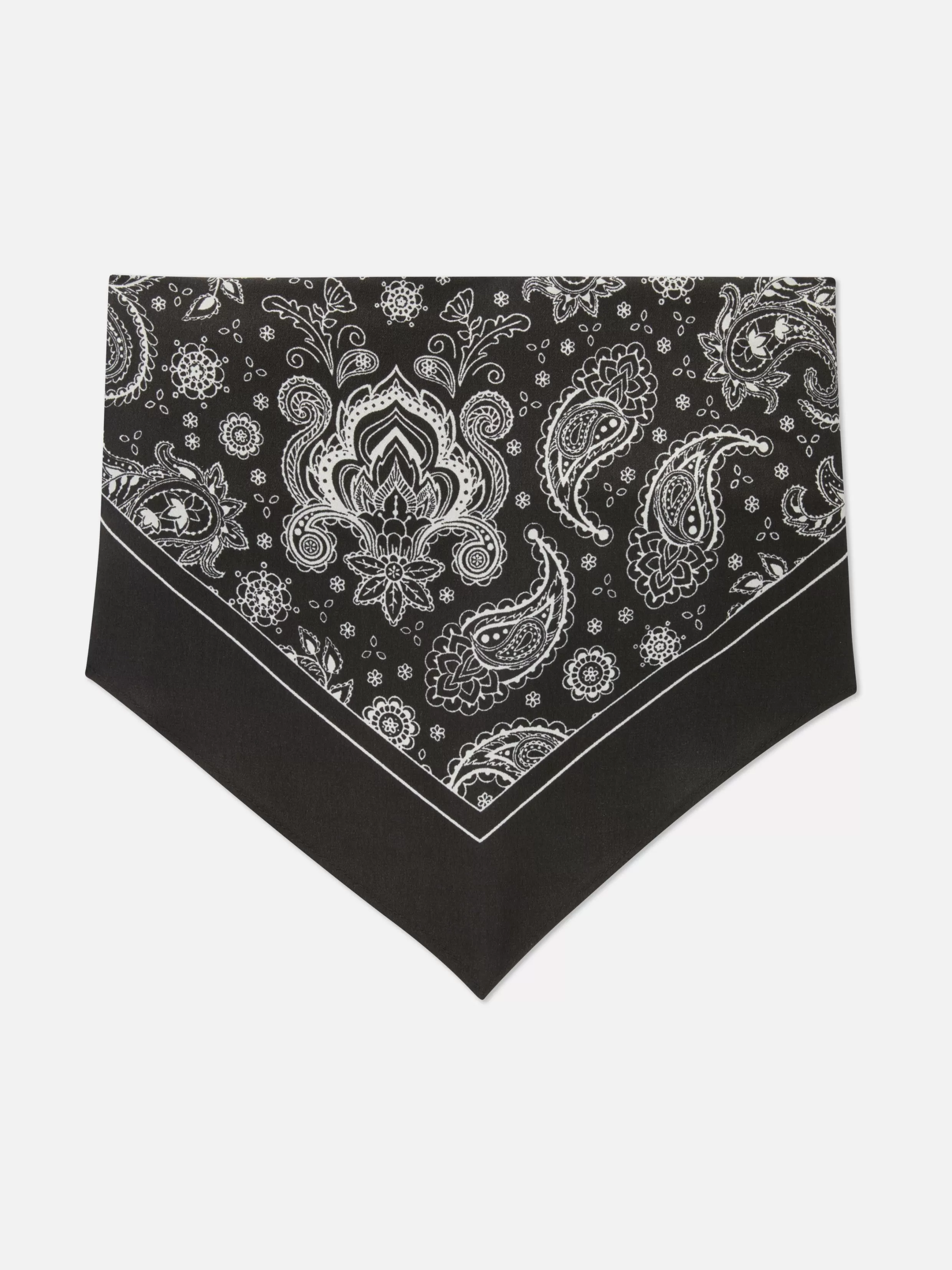 Discount Paisley Print Scarf Women Hats, Gloves And Scarves