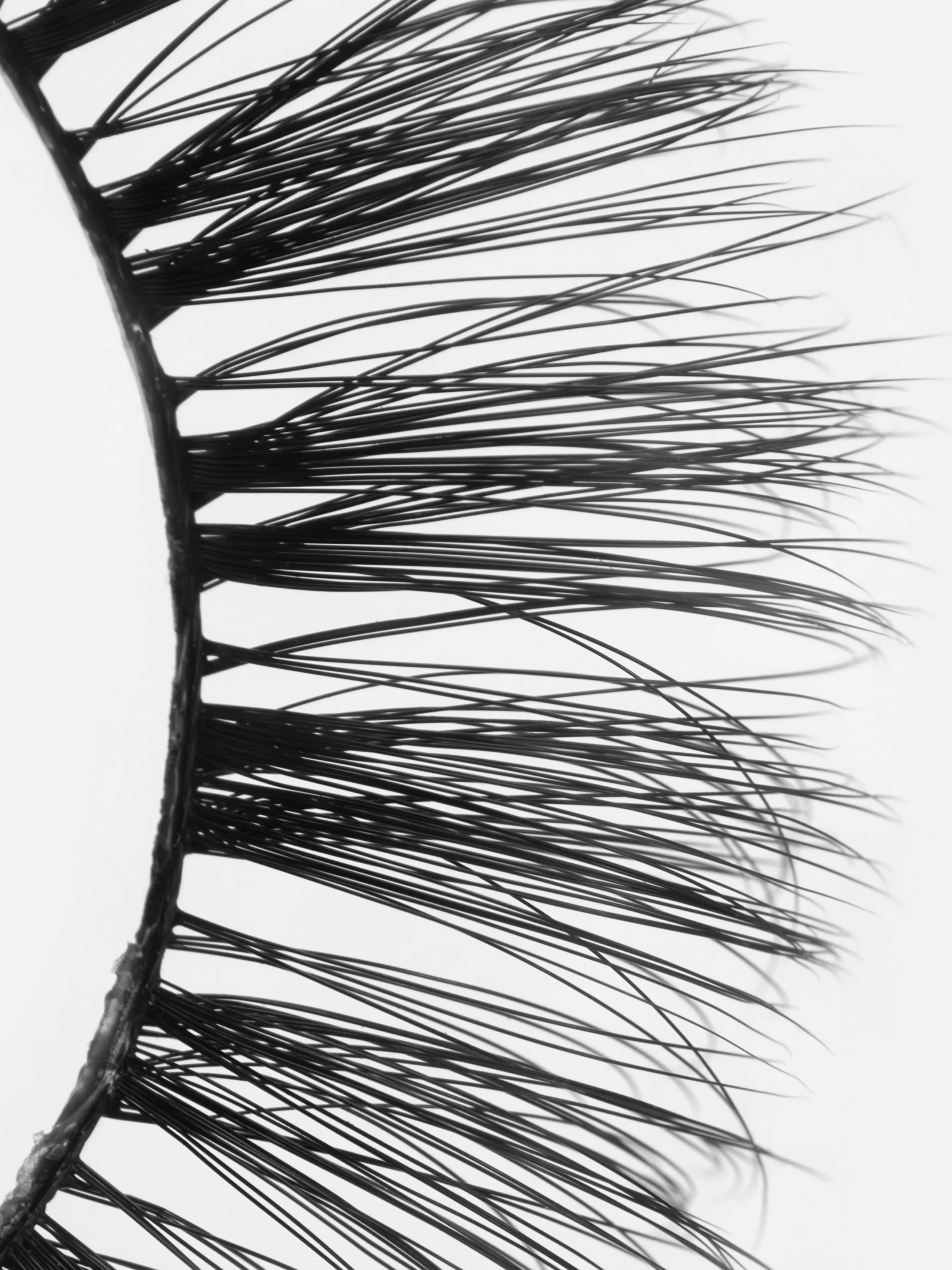 New PS Faux Lashes Faux Lashes