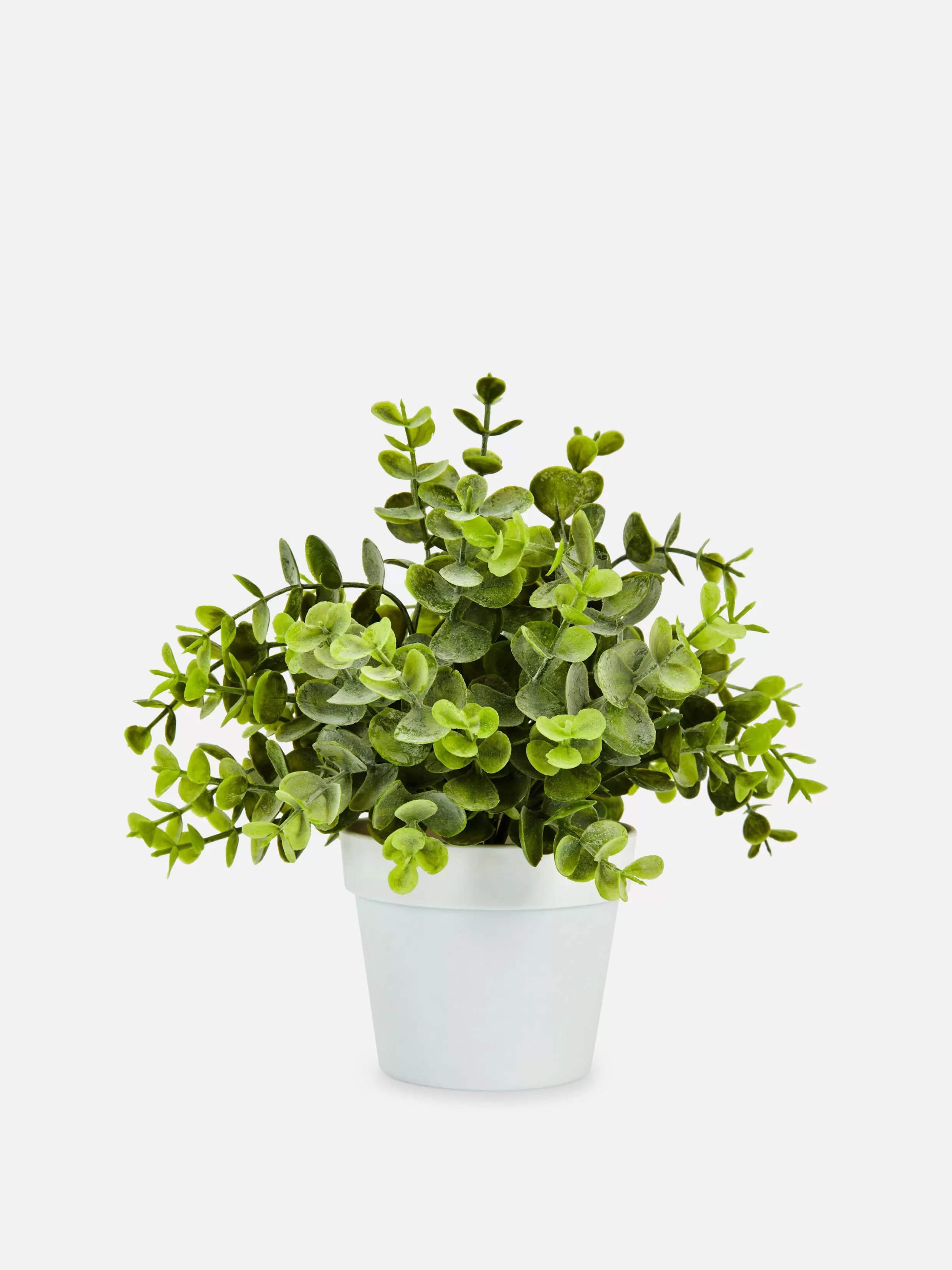 Fashion Small Faux Eucalyptus Plant Faux Plants And Flowers