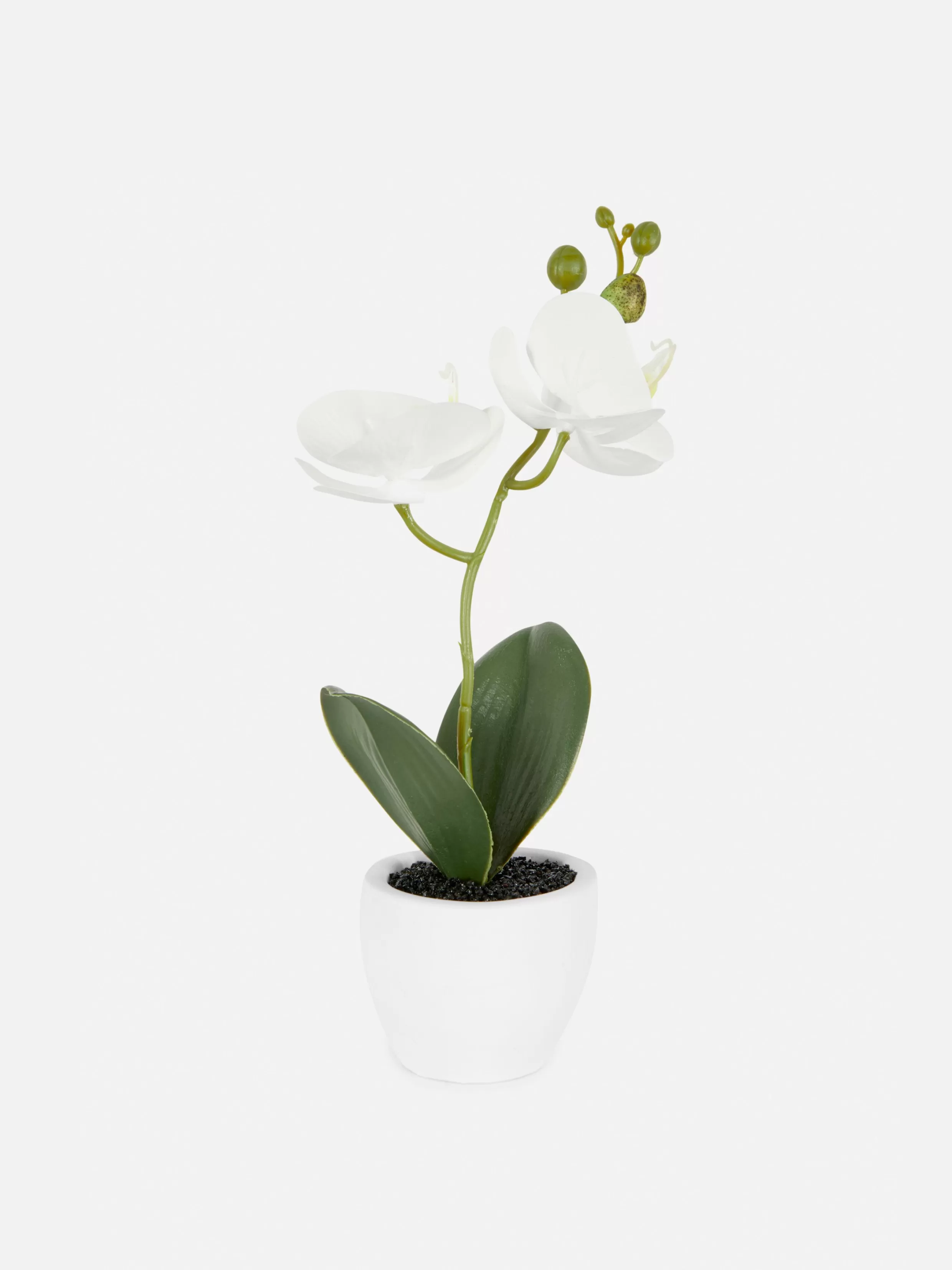 Best Small Potted Faux Orchid Faux Plants And Flowers